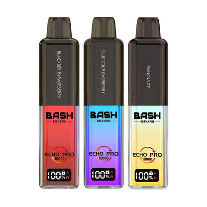 Bash Vape Echo Pro 10K Prefilled Pod Kit